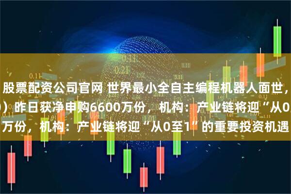 股票配资公司官网 世界最小全自主编程机器人面世,机器人ETF(159770)昨日获净申购6600万份,机构:产业链将迎“从0至1”的重要投资机遇
