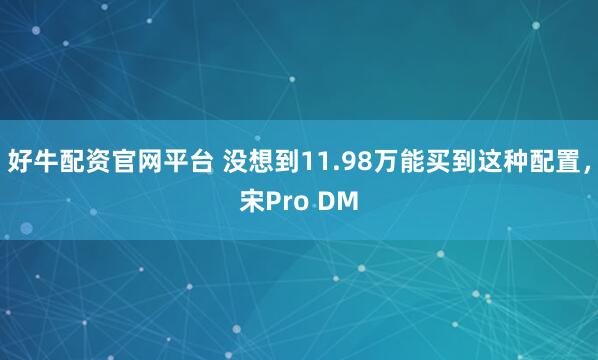 好牛配资官网平台 没想到11.98万能买到这种配置，宋Pro DM