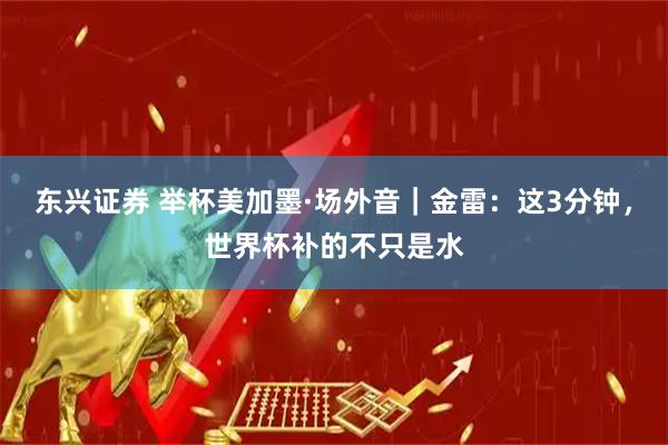 东兴证券 举杯美加墨·场外音｜金雷：这3分钟，世界杯补的不只是水